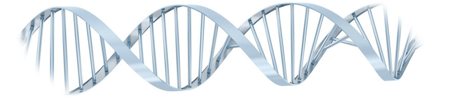 dna The Cupid Effect – Letter   48